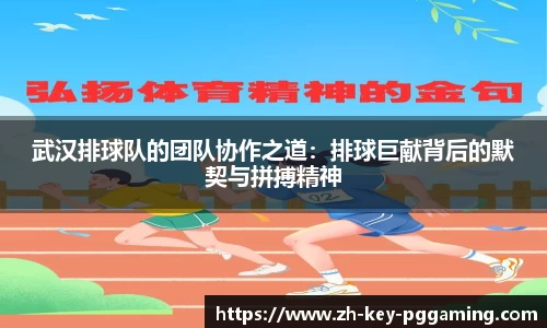 武汉排球队的团队协作之道:排球巨献背后的默契与拼搏精神